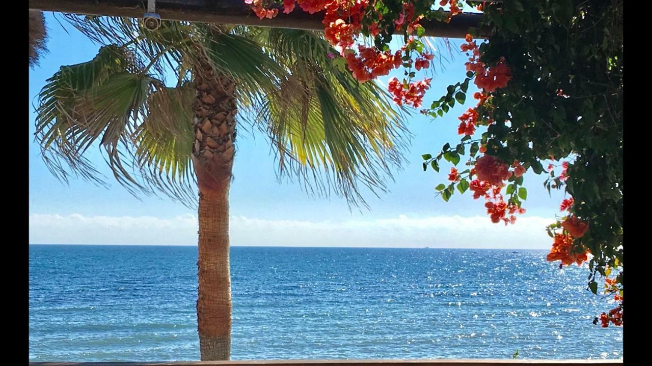 Mi Capricho Beachfront- 9E Apartment With Sea Views - Costa Del Sol Sitio de Calahonda Exteriör bild
